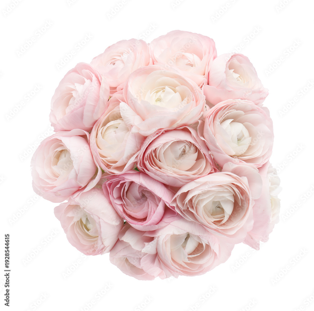 Obraz premium Bouquet of beautiful ranunculus flowers isolated on white