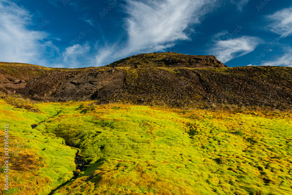Obraz premium Moss-covered landscape in the Icelandic Highlands, green vegetation and calm water reflecting a volcanic mountain under a bright blue sky.