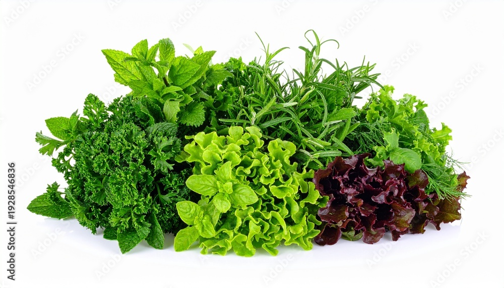 Fototapeta premium Fresh Leafy Green Salad Herbs.