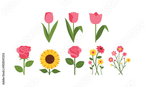 Vibrant flowers including tulips, roses, sunflowers on white