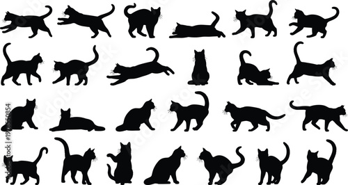 Black cat silhouette collection with various feline poses, jumping running and sitting kitty silhouettes for pet animal vector illustration set.