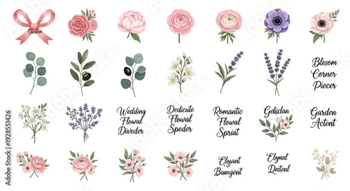 Collection of delicate floral and botanical illustrations with decorative ribbons and text labels.