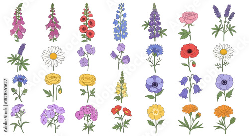 Collection of various colorful wildflowers and garden flowers in vertical rows.