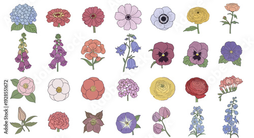 Collection of colorful hand-drawn floral illustrations and botanical elements.