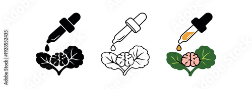 Brahmi leaf with oil dropper for hair and brain health ayurveda and eastern wellness icon vector icon set three styles: black solid silhouette thin black outline and flat colored with solid