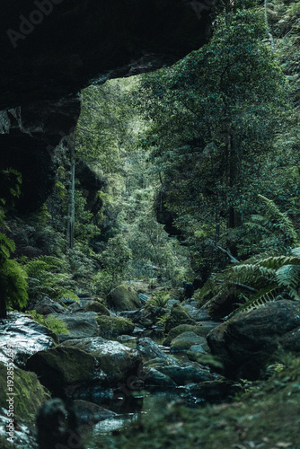 waterfall in the forest