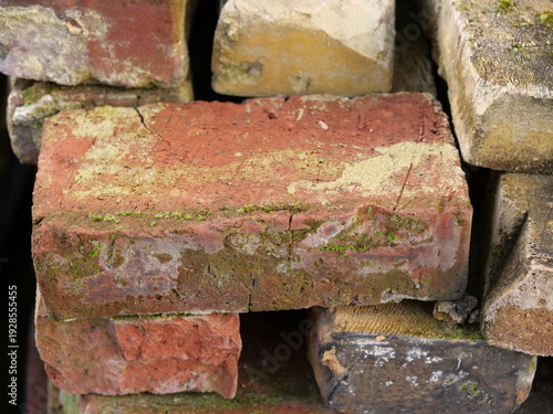 Foto Close-up of a weathered red brick with green moss and mortar
stains