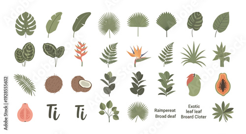 Collection of tropical rainforest plants and fruits with botanical illustrations.