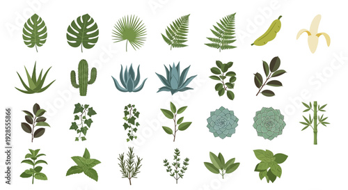 Collection of various green tropical and desert plant leaves and branches.