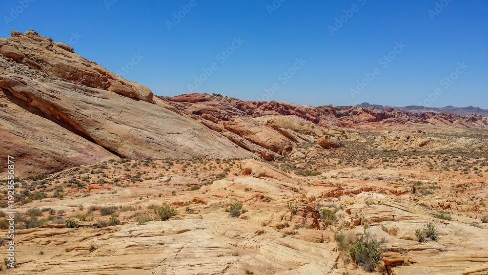 Fototapeta premium Valley of Fire State Park, Nevada