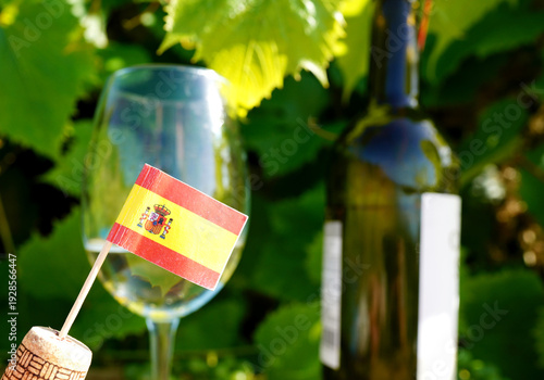 Spain wine bottle with glass of white wine on table in vineyard. Spain flag on Grape leaves background. Tasting white wine in Spanish vineyard vines. Spain Drinking Culture. Winery, Winemaking.