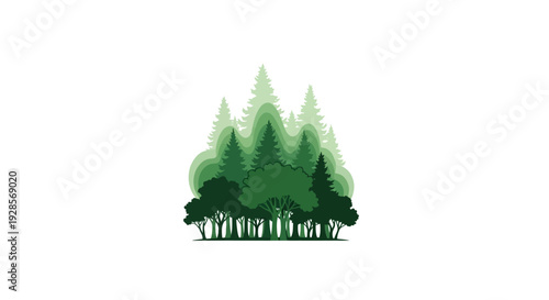 Group of Evergreen Trees Forest Landscape.
