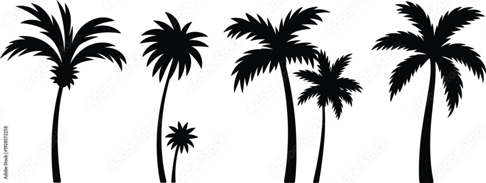 Fototapeta premium Black palm tree silhouettes set with tropical coconut plants isolated on white background for summer beach vacation design
