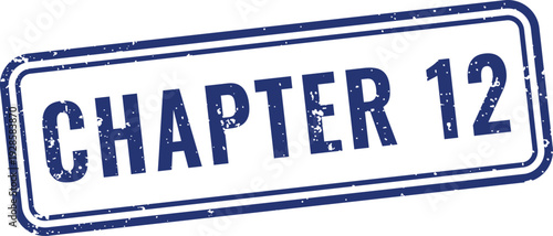 Blue chapter twelve rubber stamp with vintage ink texture for cataloging book series and educational modules