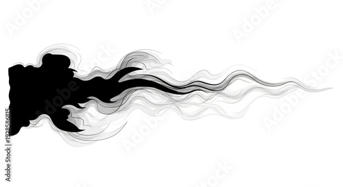 Organic Black Vector Silhouette of Wisps of Ethereal Fog or Mist. transparent.