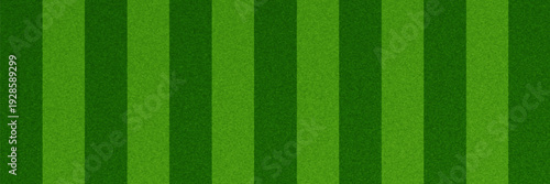 Green grass field concept wallpaper. Abstract turf effect texture. Artificial sport field surface for football, baseball, soccer game. Golf lawn imitation ground design background. Vector