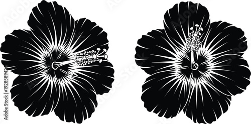 Tropical Hibiscus Flower Silhouette Vector Set for Exotic Summer Nature Beauty and Floral Botanical Wedding Invitation Design Projects