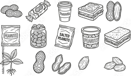 Hand Drawn Peanut Food Illustration Set with Nuts, Snacks, Packages, and Botanical Elements in Vintage Sketch Style Vector Design
