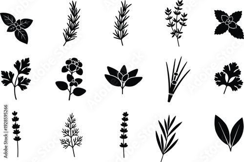 Collection of black silhouette icons representing various culinary herbs and spices on white background