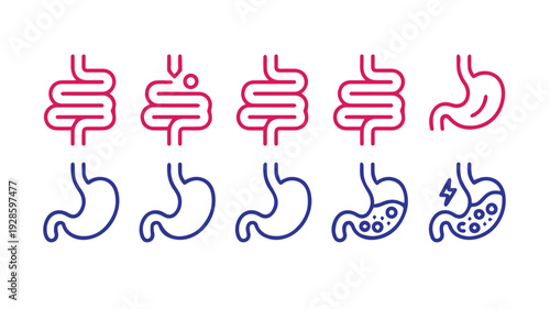 Visual representation of the human gastrointestinal tract, including stomach and intestines, depicting both healthy and common digestive issues like ulcers, inflammation, and discomfort