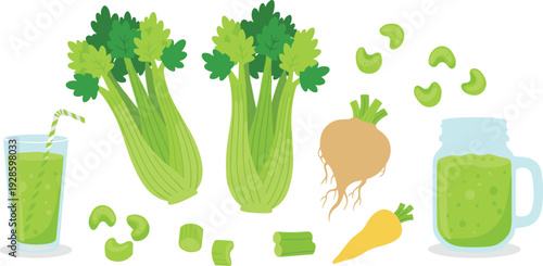 Fresh Celery and Green Vegetable Illustration Set with Juice Glass, Roots, and Healthy Organic Ingredients for Nutrition and Vector Design Concepts