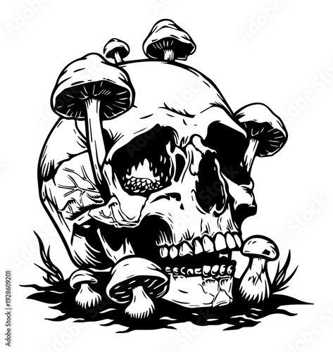 Human Skull with Mushrooms Illustration Vector, Hand Drawn Gothic Macabre Art, Death and Rebirth Concept with Fungi Growing on Cranium