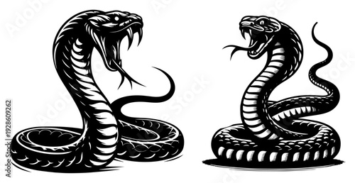 King Cobra Snake Vector Illustration Set, Aggressive Serpent with Fangs and Hood, Tribal Tattoo Style Snake Art