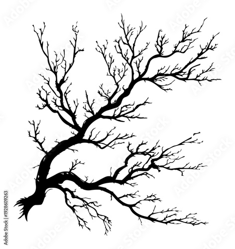 Dead Tree Branch Silhouette Vector, Leafless Gnarly Wood Illustration, Black and White Winter Tree Nature Art