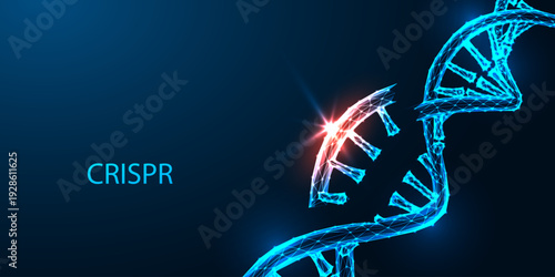 CRISPR gene editing concept with DNA strand and cut site, biotechnology, genetic modification vector