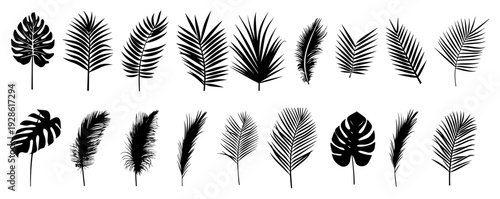 Tropical Leaf and Palm Frond Silhouette Set, Exotic Monstera and Fern Foliage Vector Collection for Summer Design