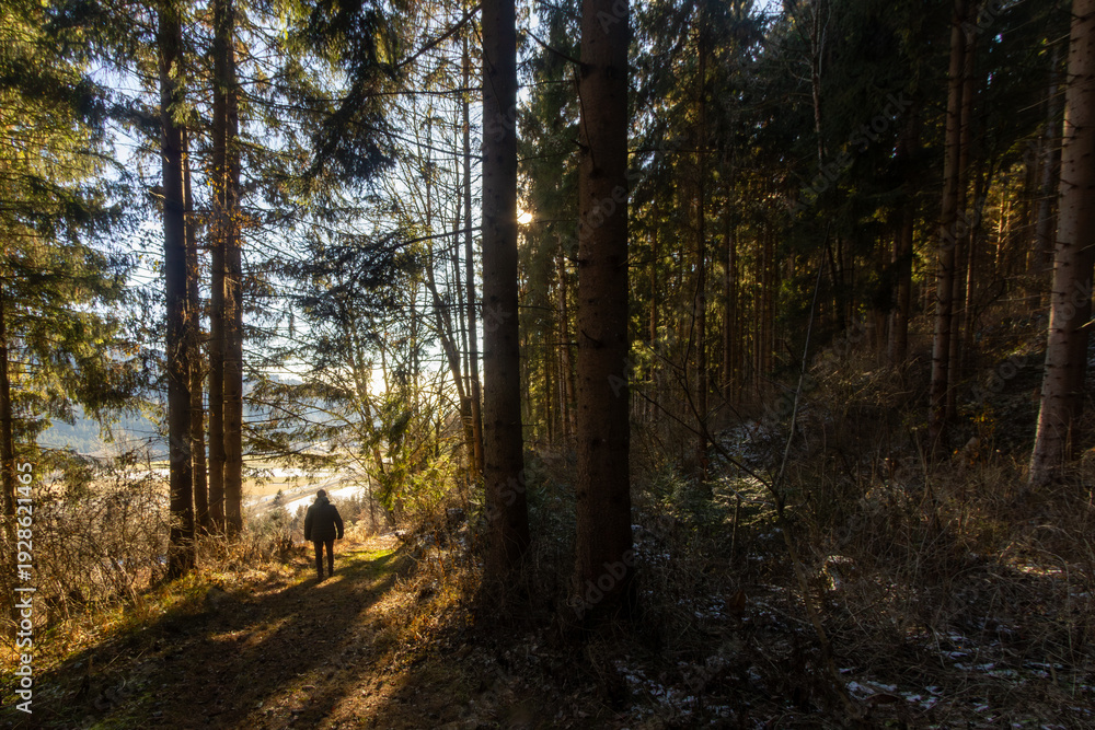 Fototapeta premium Woman walking with her dog through the forest