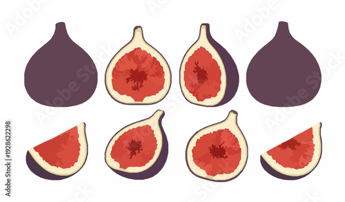 Fig Fruit Whole and Cut with Thin Skin Flat Vector Set