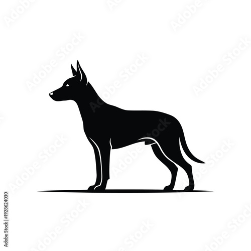 A sleek black silhouette of a standing dog resembling a dachshund or similar breed
