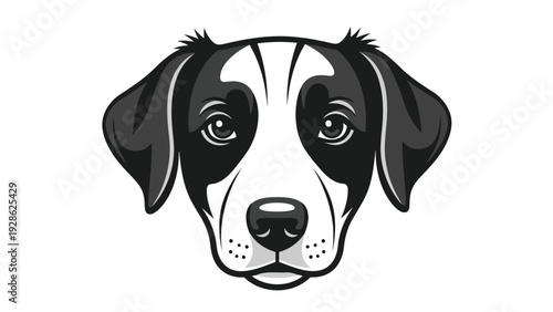 A stylish black and white spotted dog portrait with expressive eyes and a focused gaze