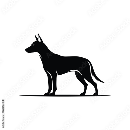 Silhouette of a sleek dog standing on a plain background