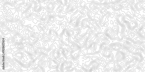 Topographic map design with lines and contours on white background