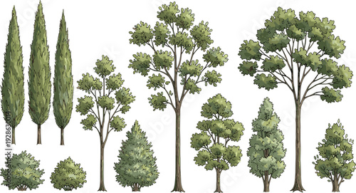 Various green trees and shrubs vector illustrations with diverse natural foliage