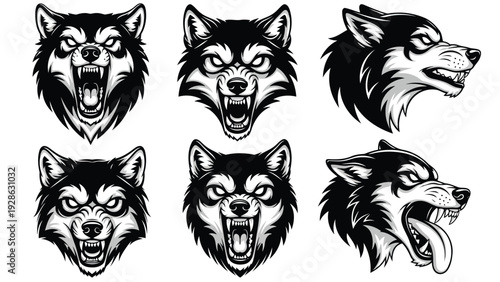 Mysterious pack of six black and white wolf silhouettes against a light background