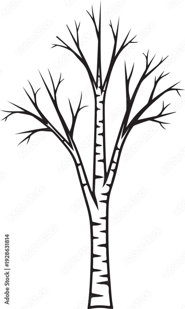 Obraz premium Black and white of a bare birch tree with textured bark bare tree winter branches des