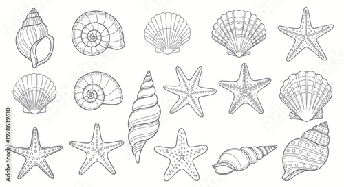 Collection of Hand-Drawn Seashells and Starfish Illustrations
