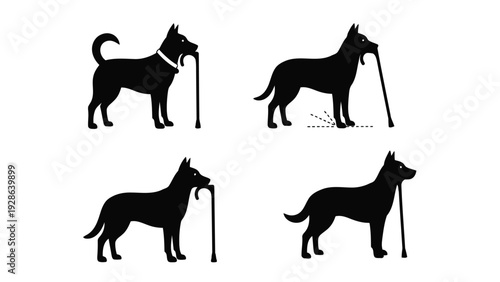Four black silhouettes of dogs using walking aids for mobility assistance