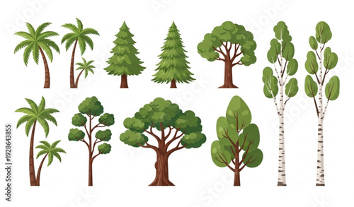 Botanical tree vector illustration set with diverse pine, oak, birch, and palm species