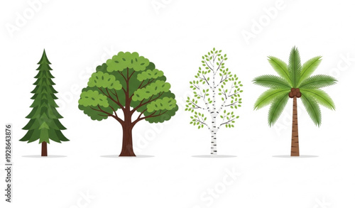 Stylized botanical tree vector illustration with pine, oak, birch, and palm forest species