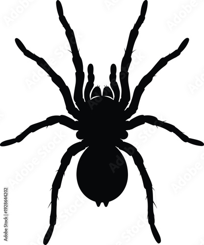 Spider silhouette, tarantula insect with hairy legs top view, creepy arachnid wildlife vector, scary bug isolated on white background, halloween nature design icon art.