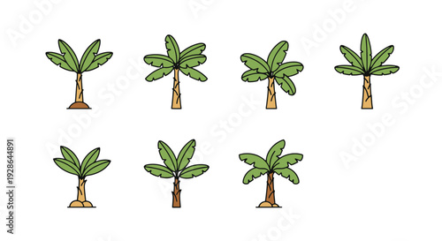 Banana tree Line art abstract color concept vector