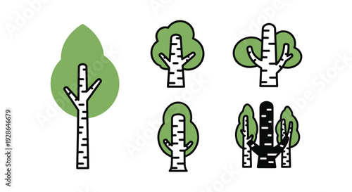 Birch tree Line art creative abstract design illustration