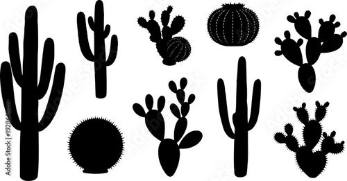 Collection of various black cactus silhouettes on a white background for design projects

