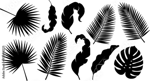 Stylized black tropical leaf silhouettes a white background
