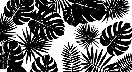 Stylized black tropical leaf silhouettes a white background
