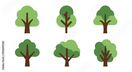 Ash tree Line art soft colorful abstract illustration